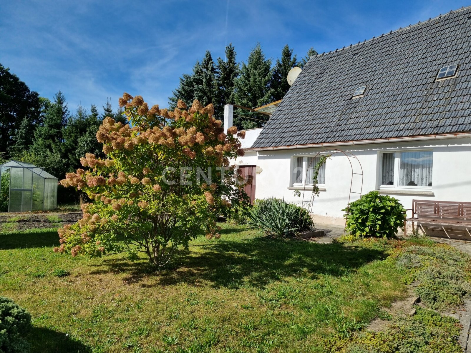 Ein Traum könnte wahr werden