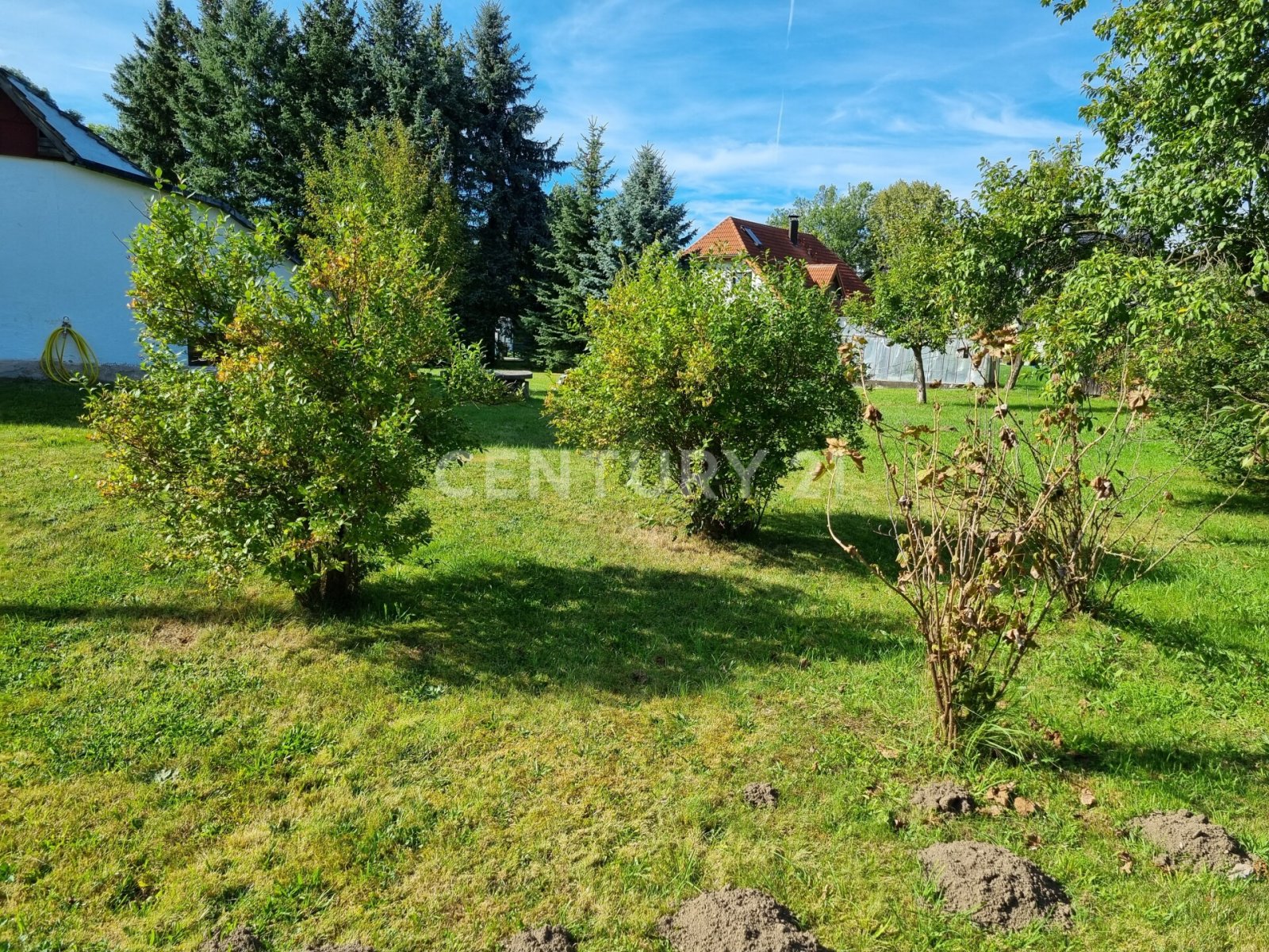 Ein Traum könnte wahr werden