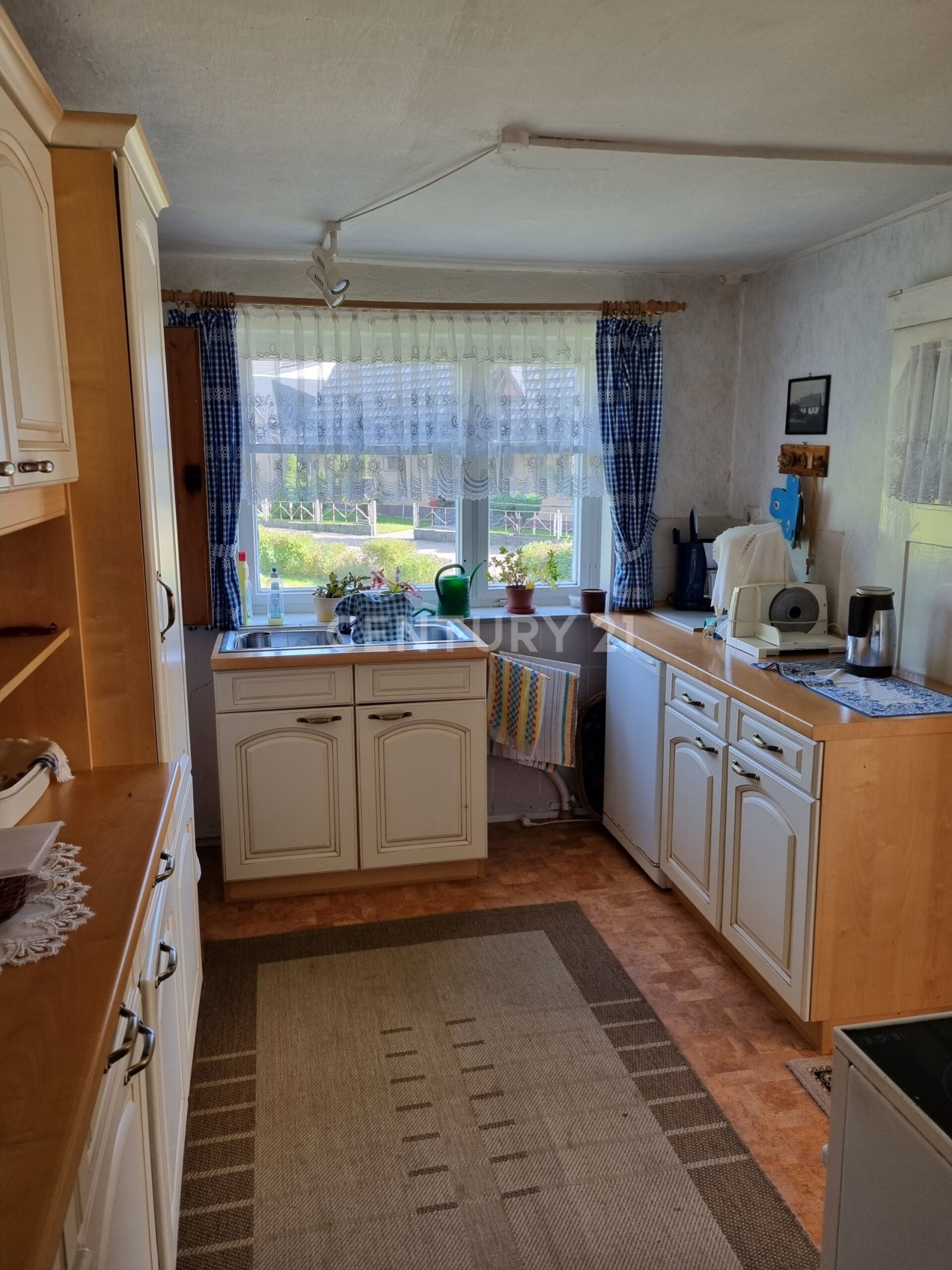 Ein Traum könnte wahr werden