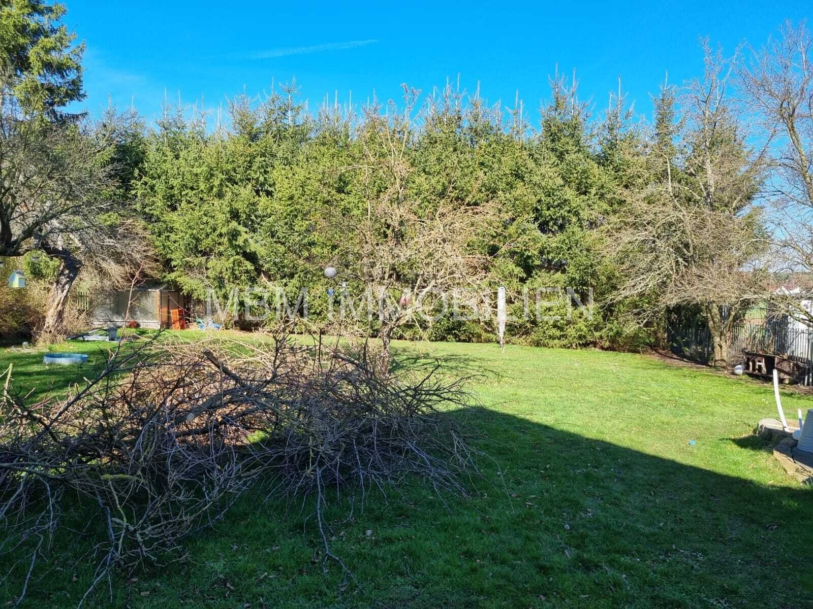 Familienfreundliche Immobilie im schönen Haselbachtal, OT Reichenbach