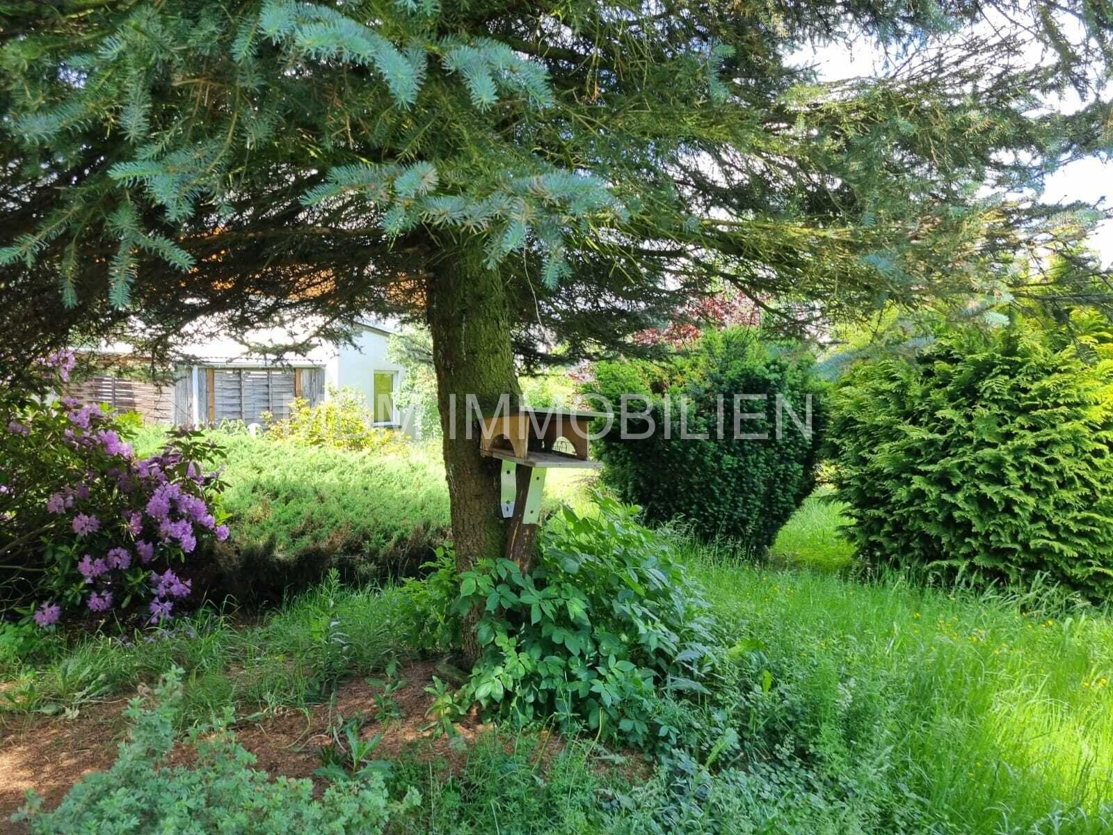 Eigenheim - Ferienhaus - Sie entscheiden selbst!