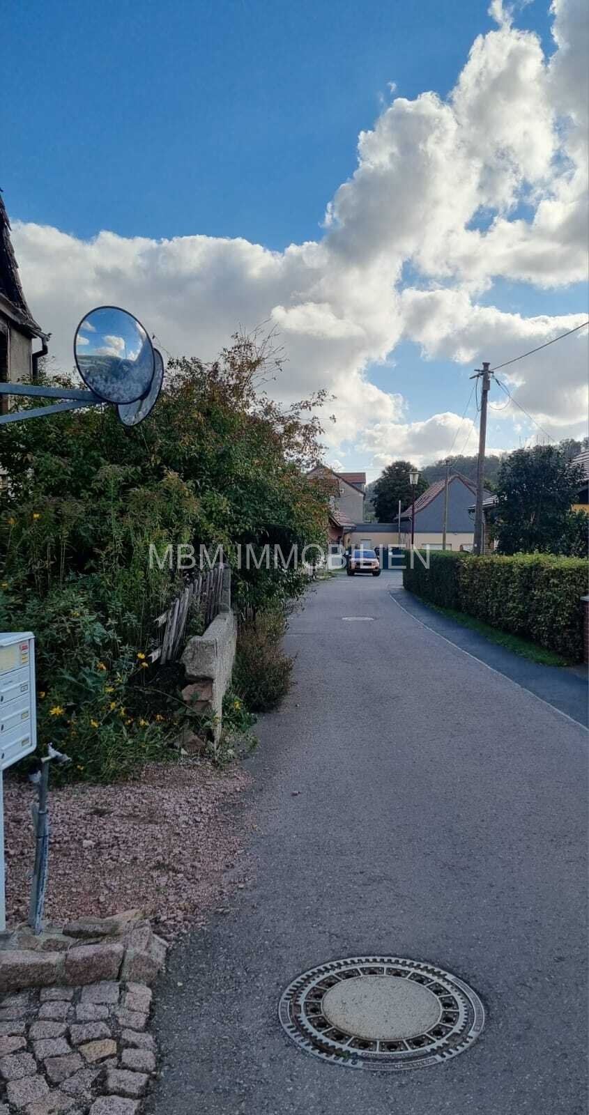 Ein Traum könnte wahr werden