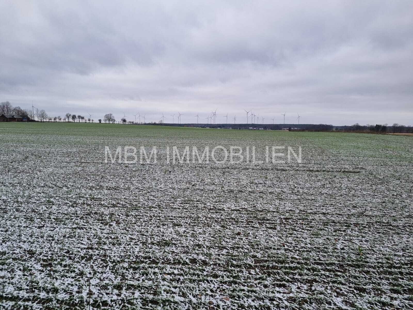 Traumimmobilie in Calau – Ihr neues Zuhause inmitten der Natur