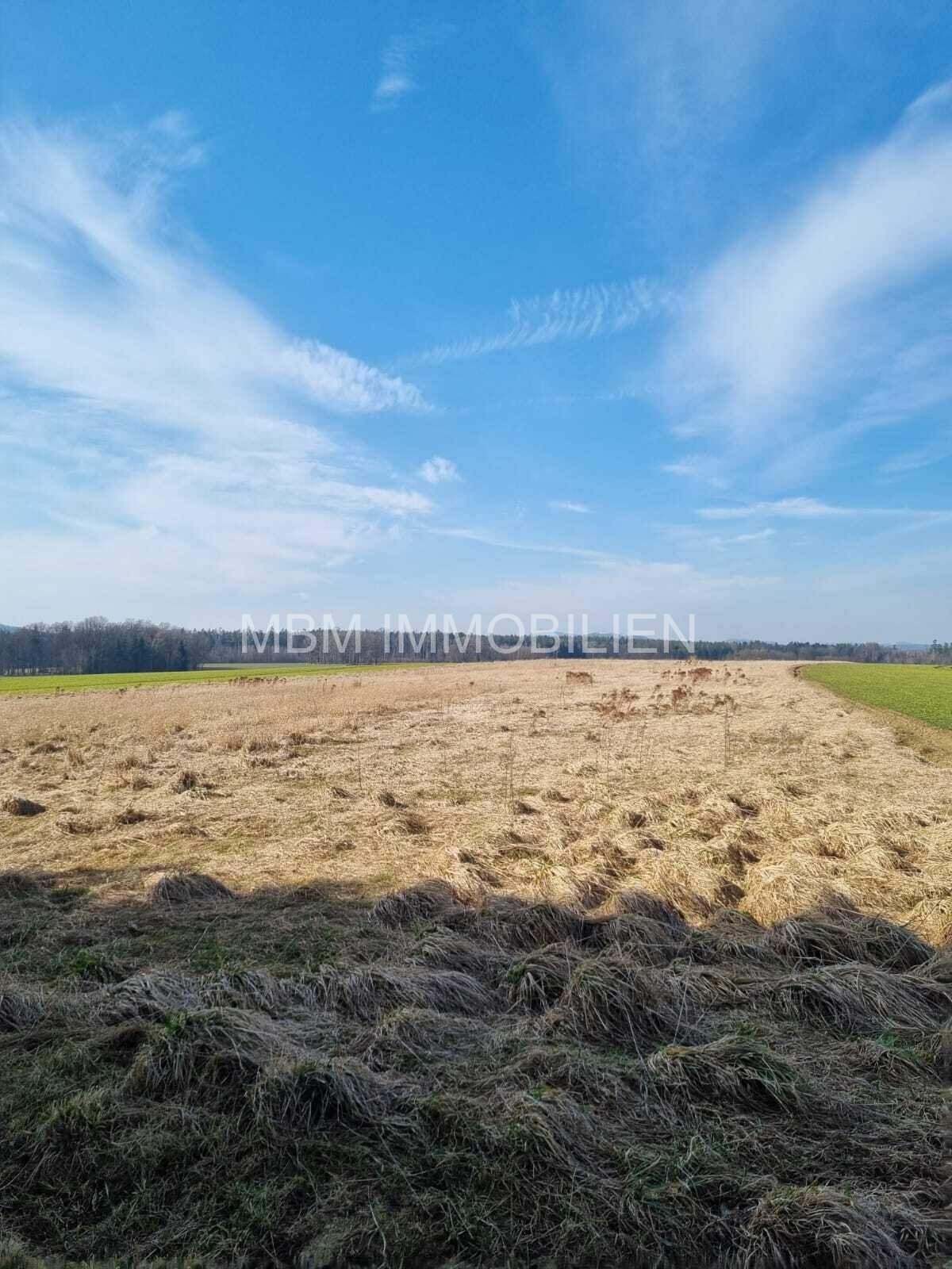 Traumhaftes Grundstück in 02708 Kottmar – Perfekt für Tierhaltung und Landwirtschaft