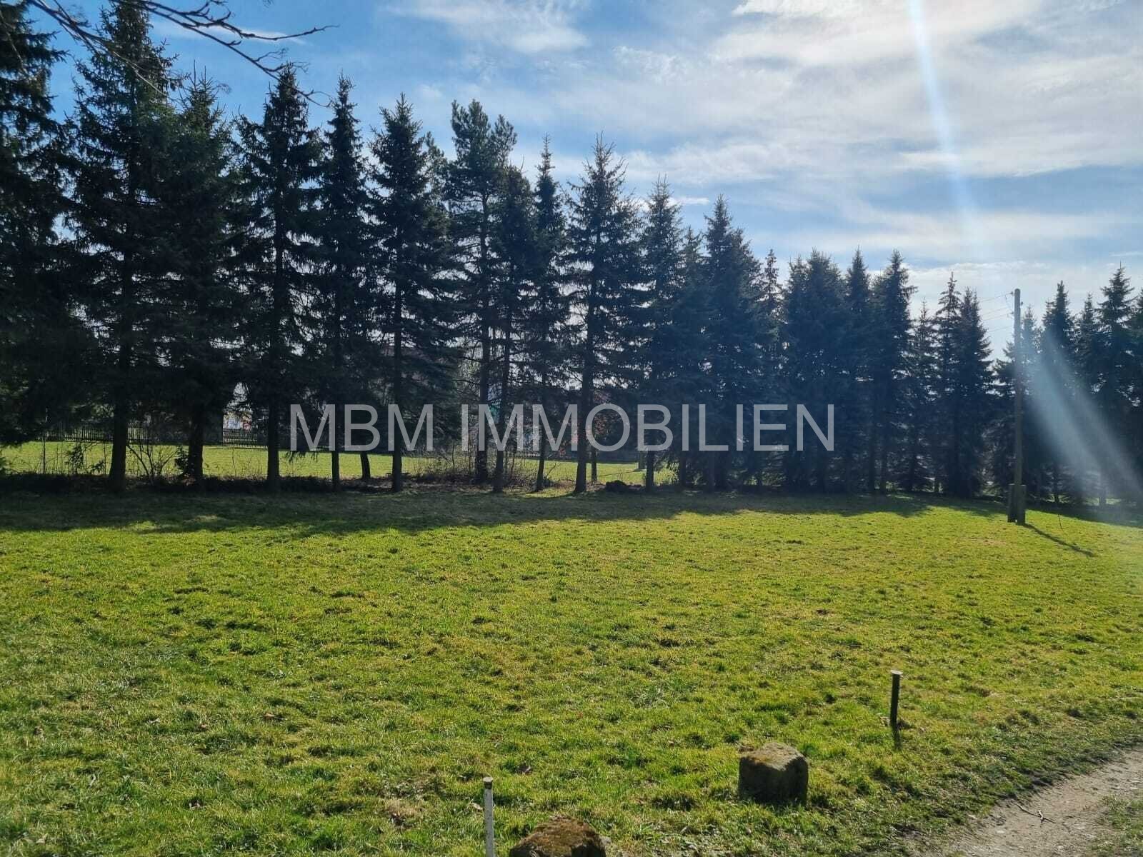 Traumhaftes Grundstück in 02708 Kottmar – Perfekt für Tierhaltung und Landwirtschaft