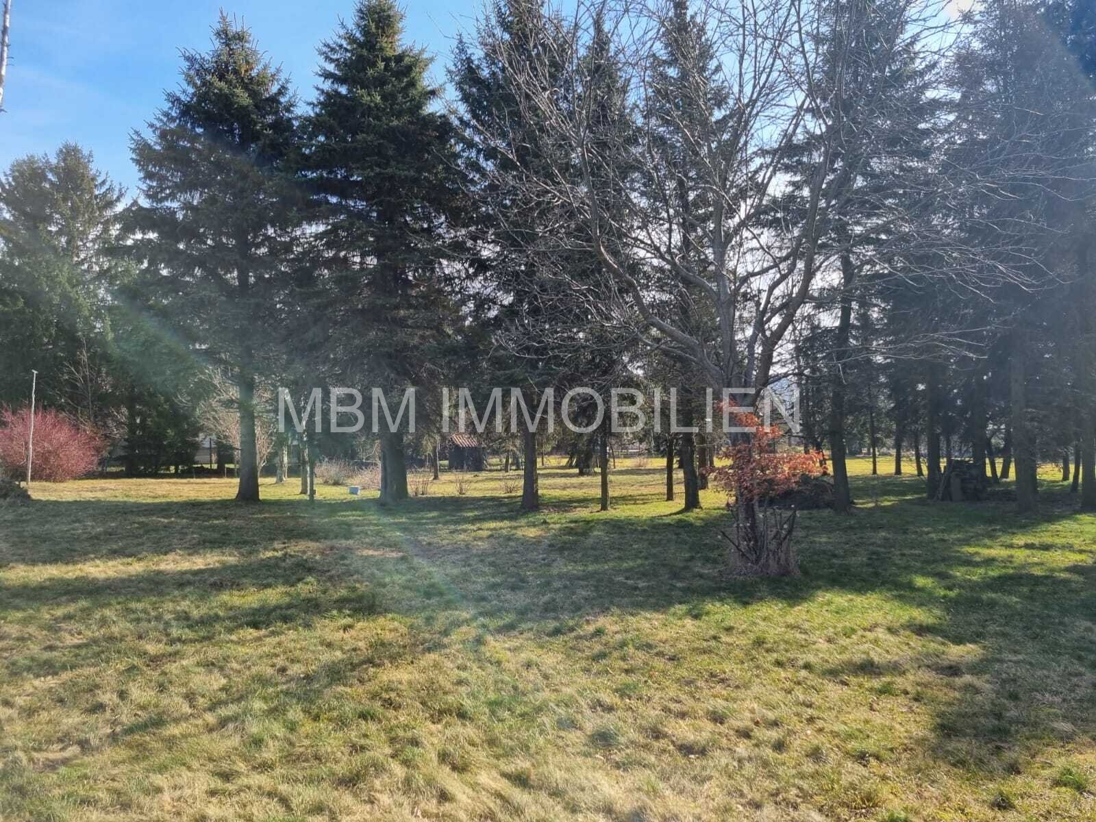 Traumhaftes Grundstück in 02708 Kottmar – Perfekt für Tierhaltung und Landwirtschaft