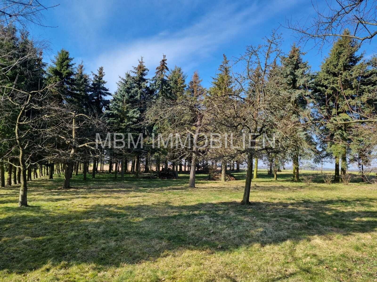 Traumhaftes Grundstück in 02708 Kottmar – Perfekt für Tierhaltung und Landwirtschaft