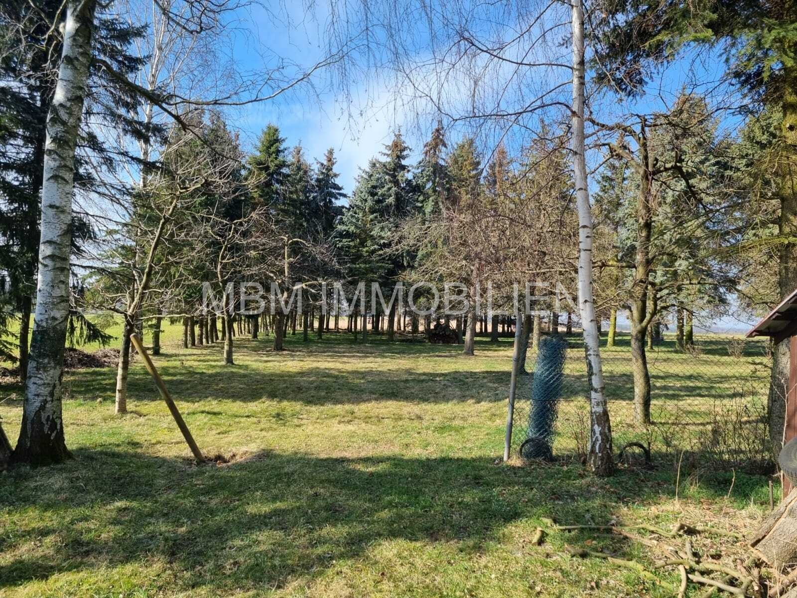 Traumhaftes Grundstück in 02708 Kottmar – Perfekt für Tierhaltung und Landwirtschaft