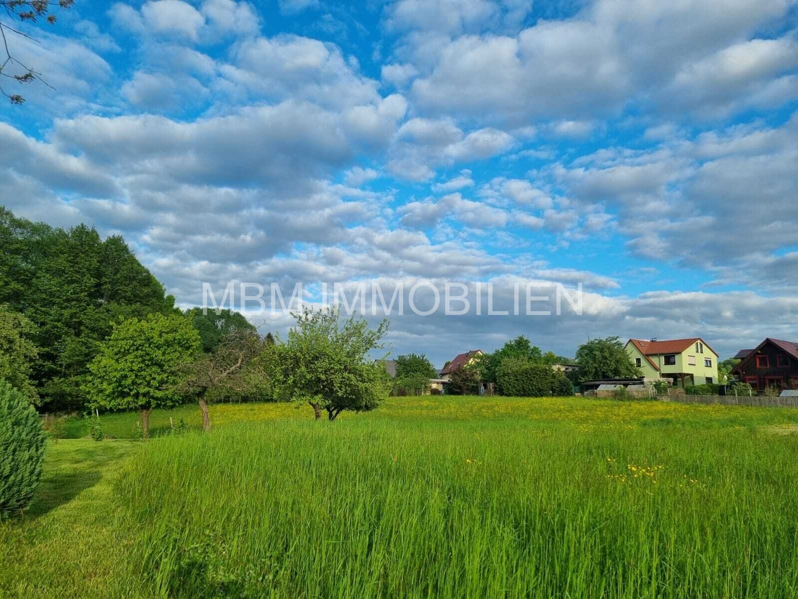 Familienfreundliches Ein-/Zweifamilienhaus mit großem Grundstück in Steina