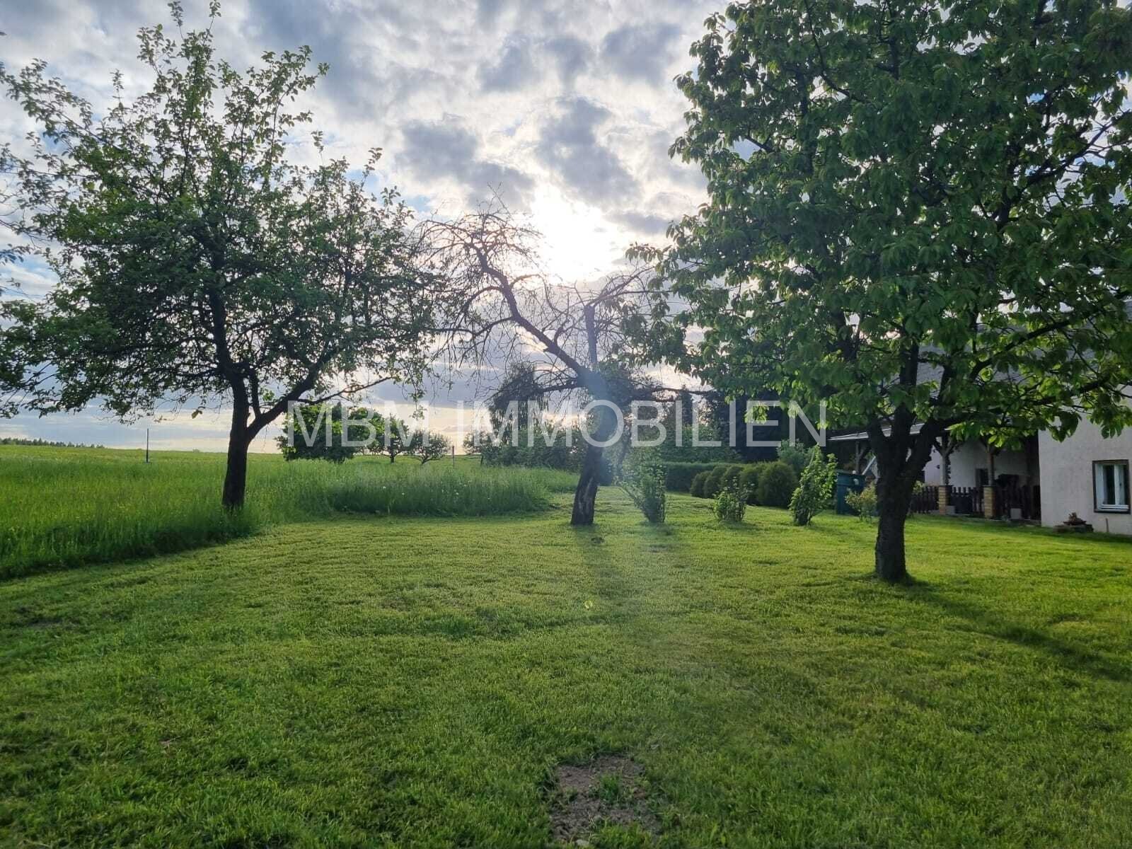 Familienfreundliches Ein-/Zweifamilienhaus mit großem Grundstück in Steina