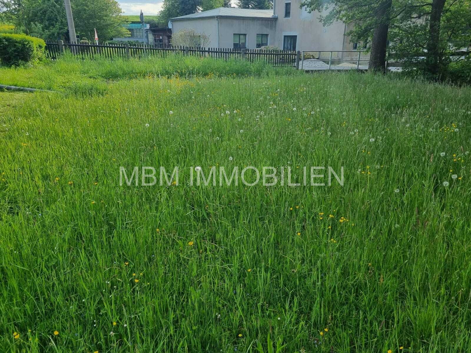 Familienfreundliches Ein-/Zweifamilienhaus mit großem Grundstück in Steina