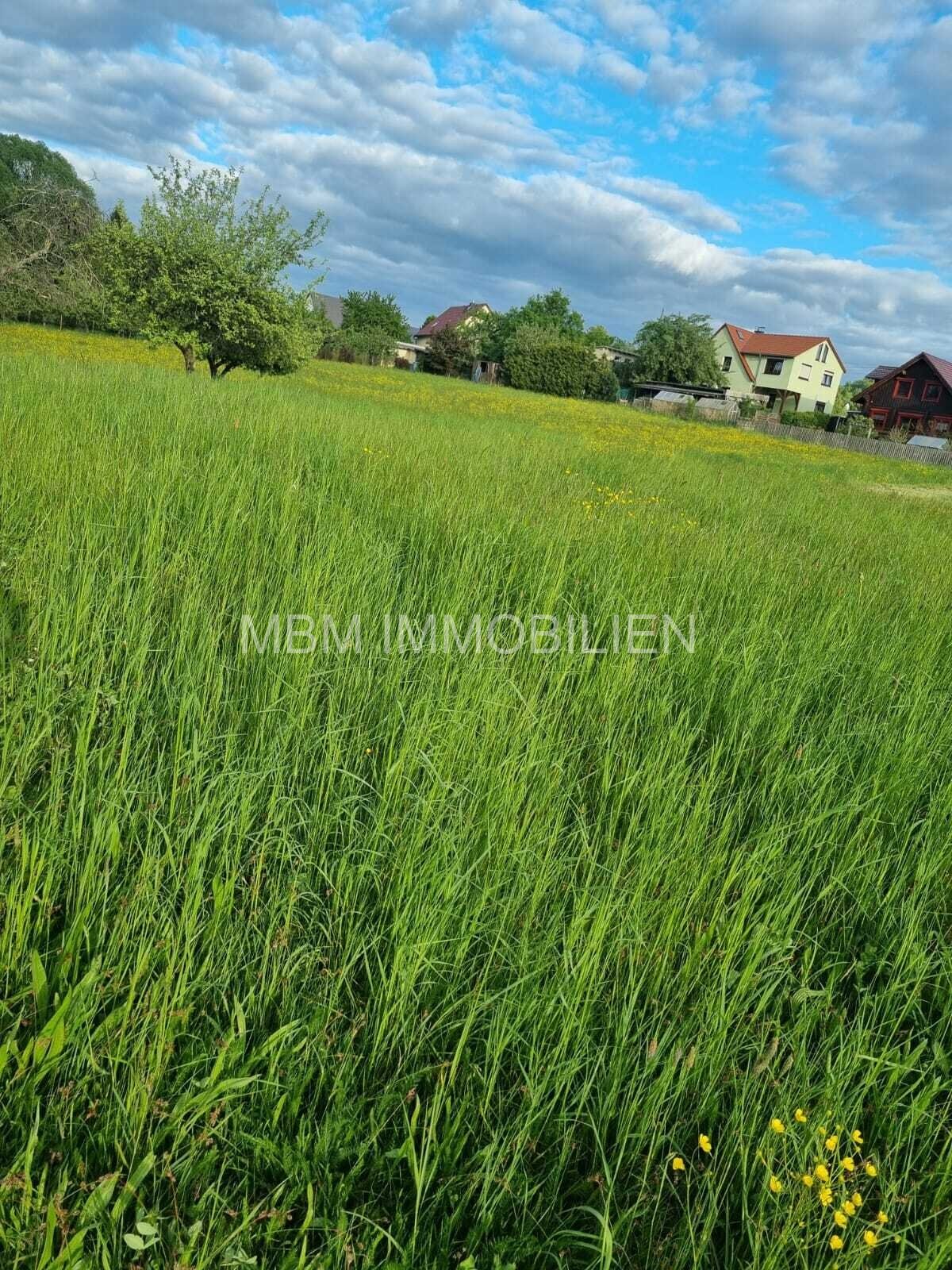 Familienfreundliches Ein-/Zweifamilienhaus mit großem Grundstück in Steina