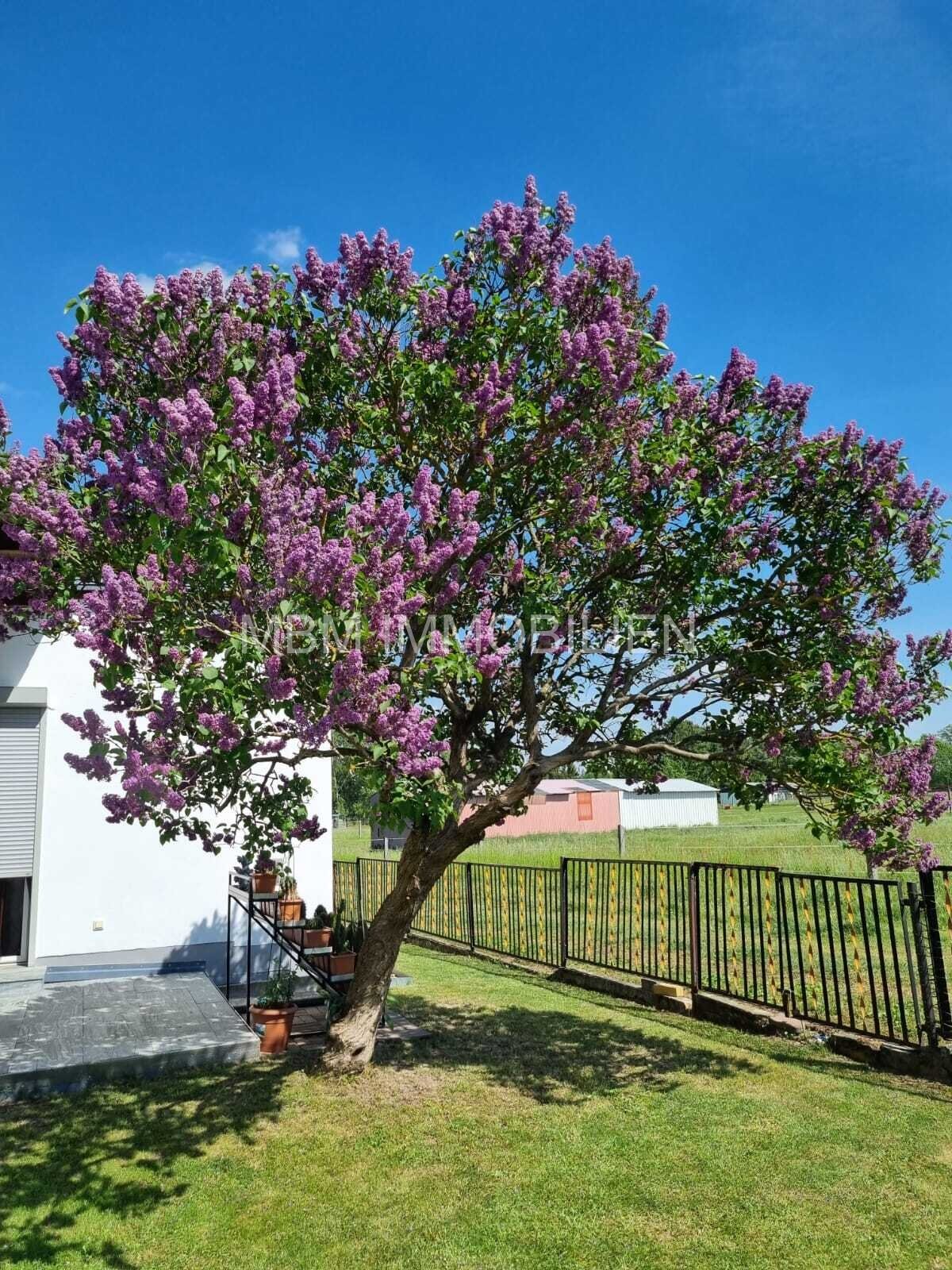 Traumhafter Bungalow in idyllischer Lage von Großerkmannsdorf