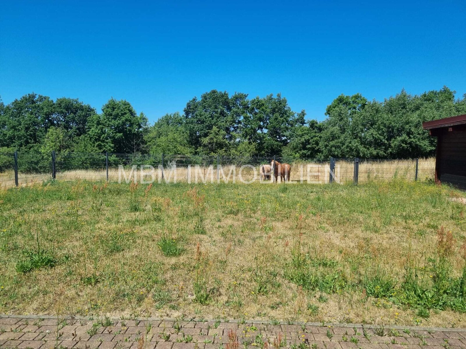 Traumhafte Immobilie in Wermsdorf – Ihr neues Zuhause inmitten der Natur