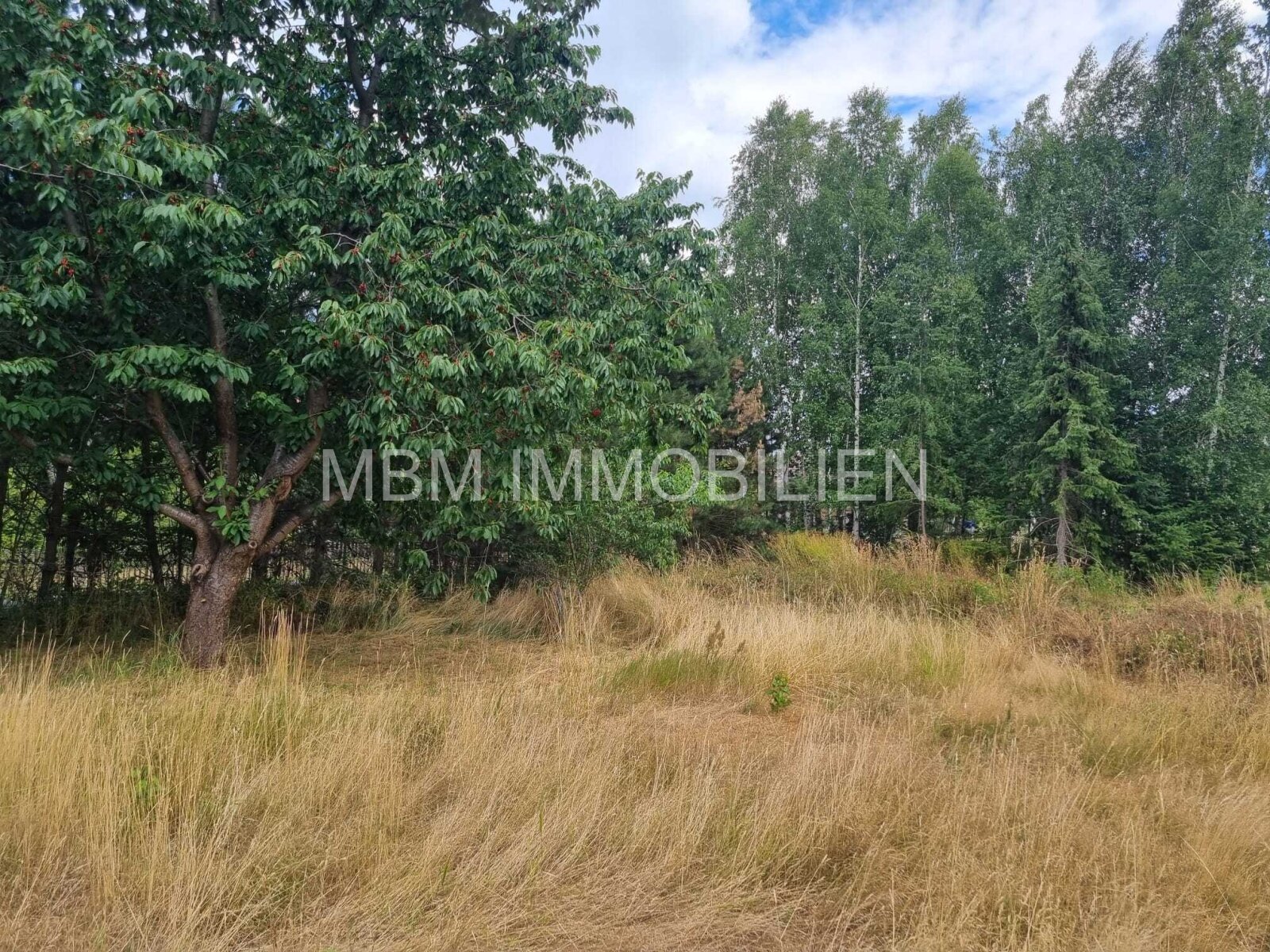 Attraktive Sanierungsimmobilie mit großem Potenzial – Perfekt für Familien und Tierliebhaber  Willkommen zu Ihrem neuen Projekt! Hier bieten wir Ihnen