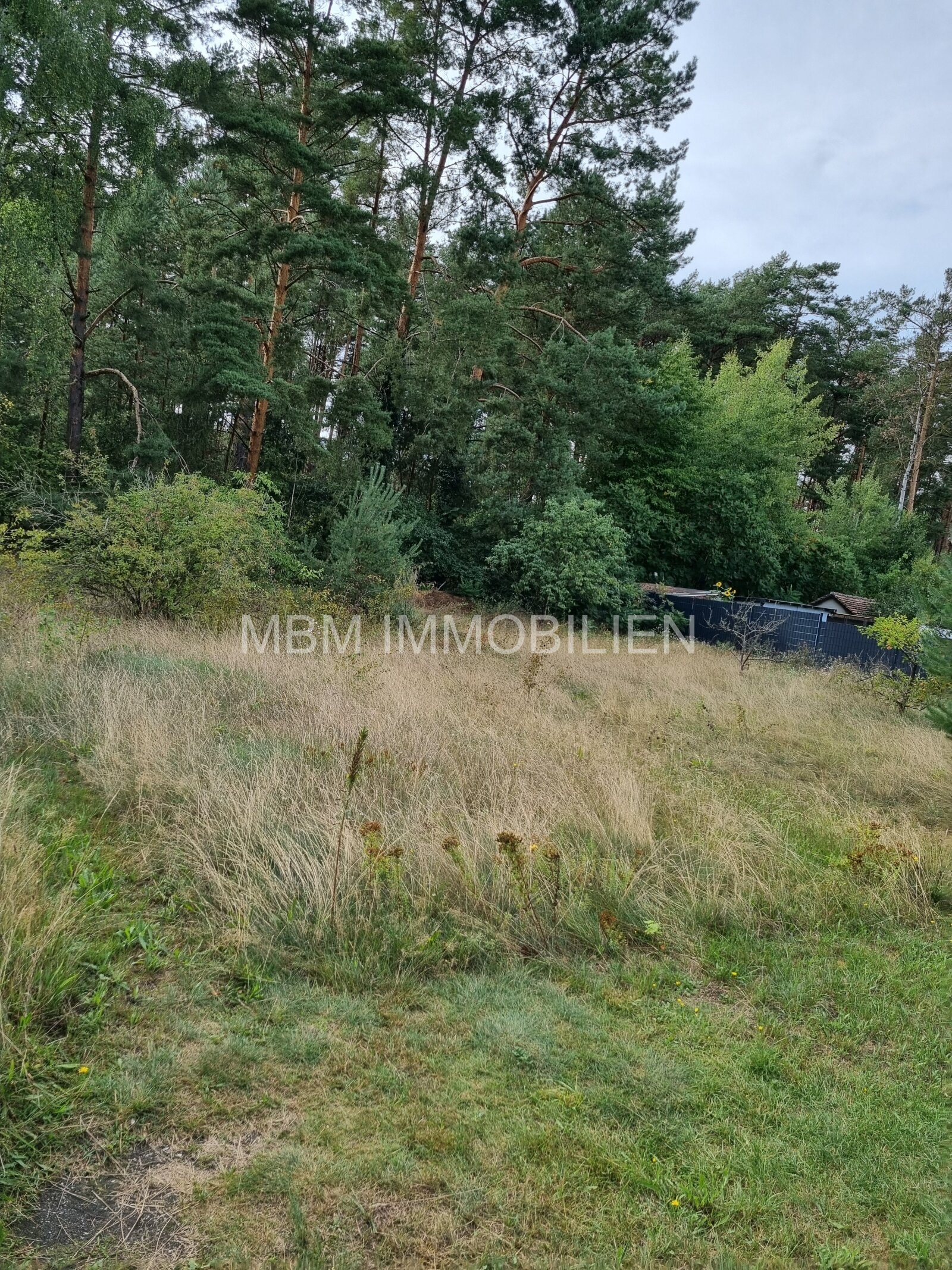 Lauta - Ihr neues ZuHause