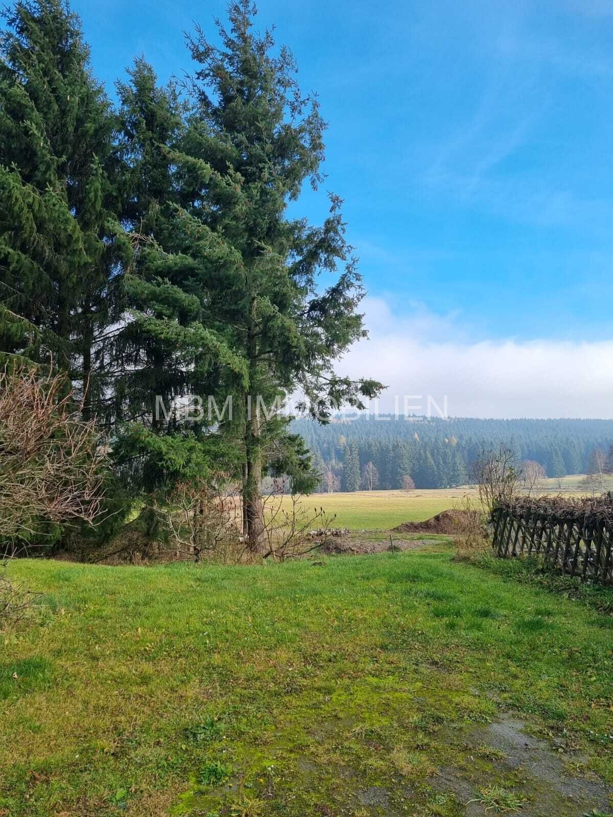 Wer die Ruhe liebt, ist hier genau richtig – Wunderschönes Grundstück mit unverbaubarem Blick in Altenberg