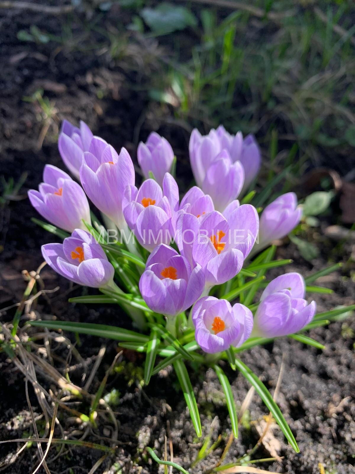 Einfamilienhaus in Großräschen