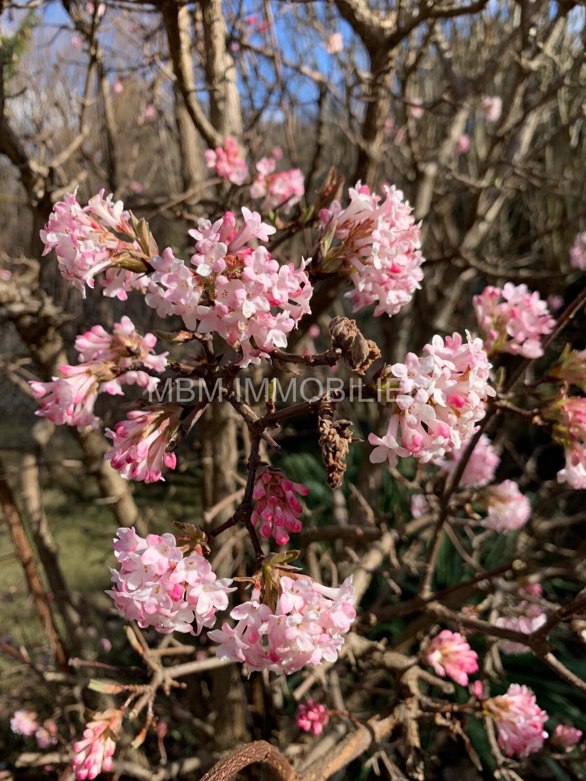 Einfamilienhaus in Großräschen