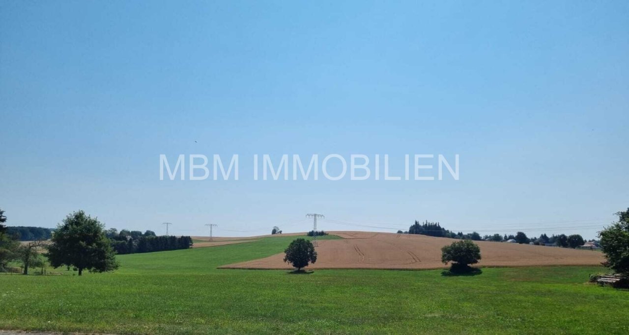Blick vom Grundstück Blick vom Grundstück