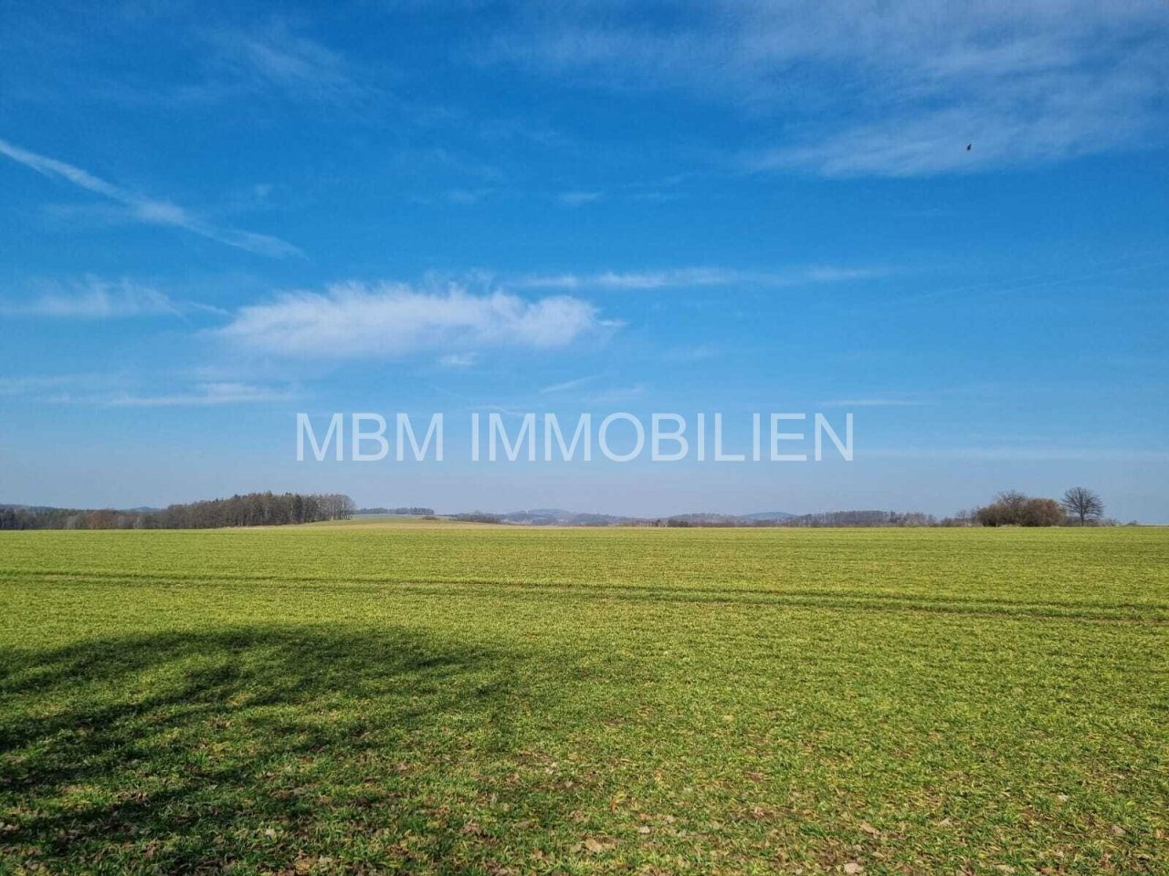 Blick vom Grundstück