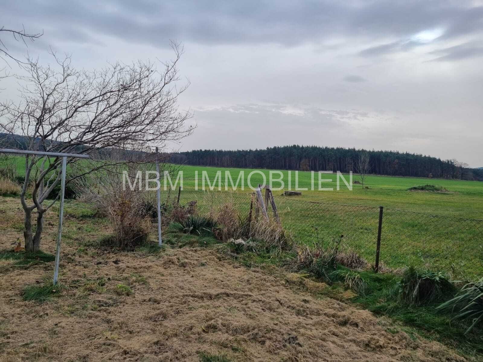 Blick vom Grundstück