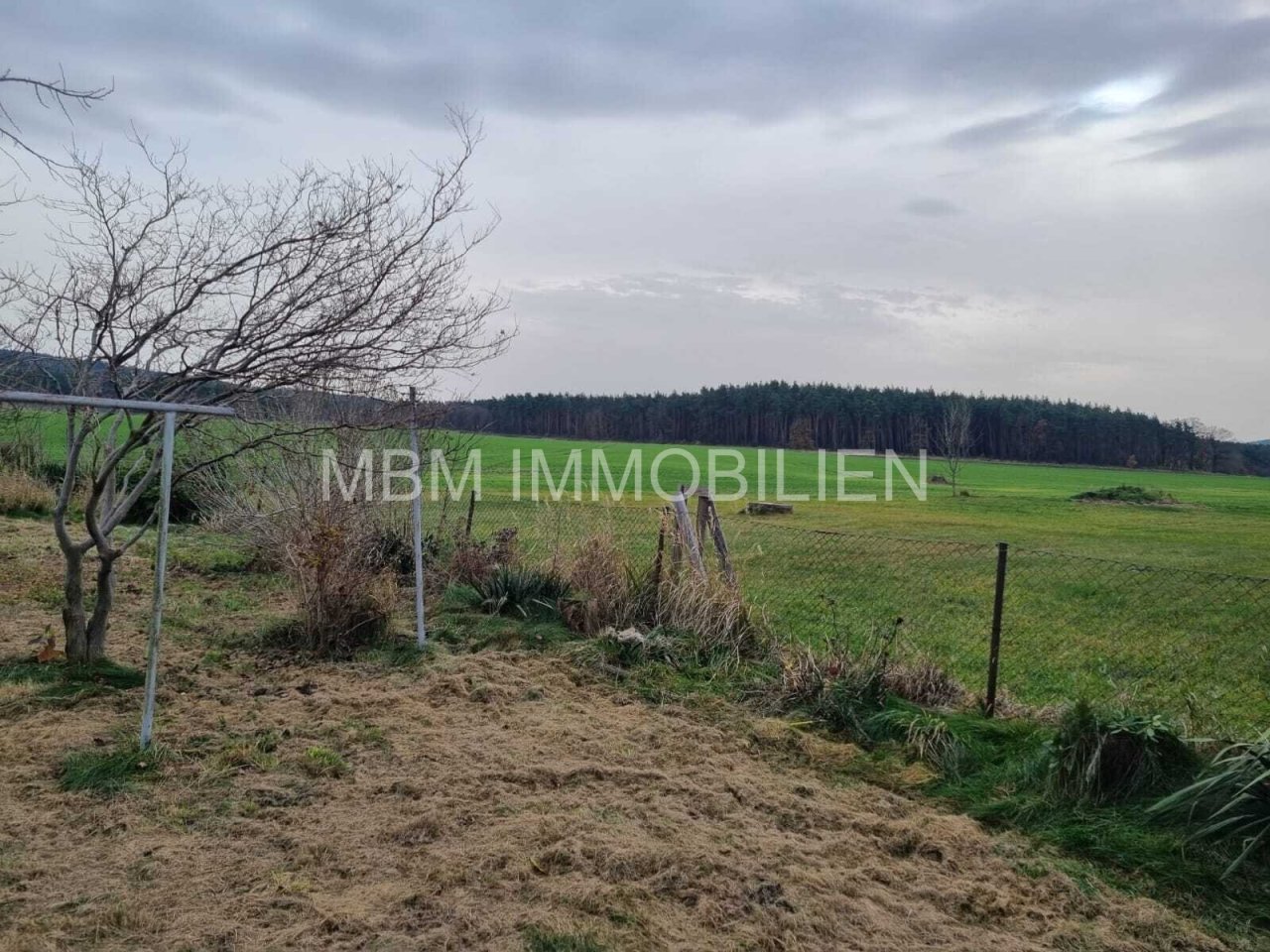 Blick vom Grundstück