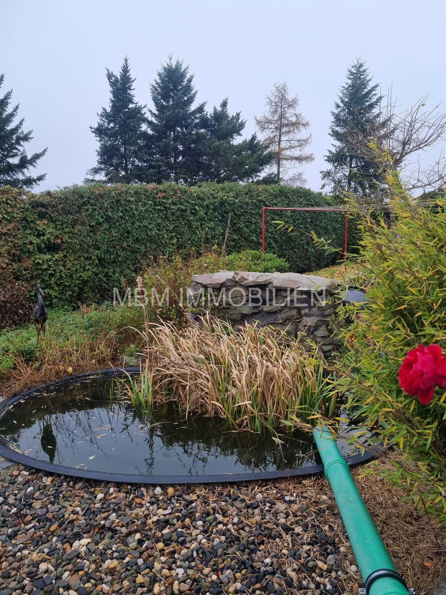 Gartenteich Gartenteich