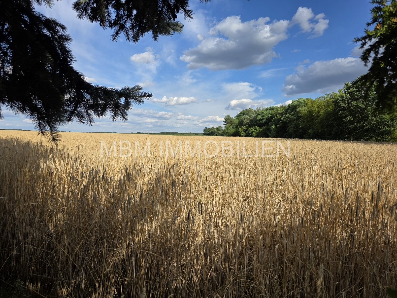 Blick vom Grundstück