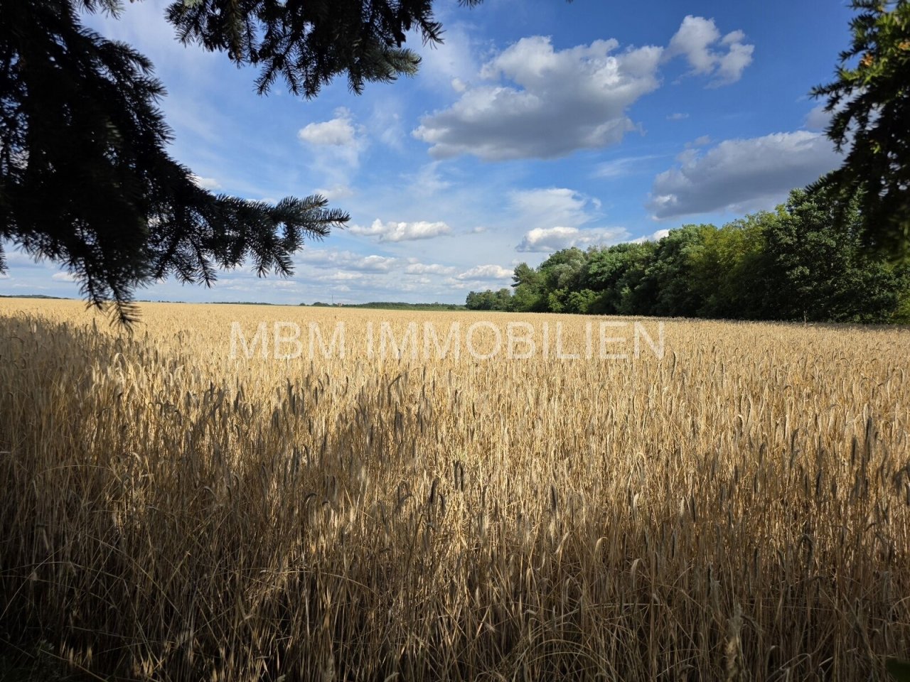 Blick vom Grundstück