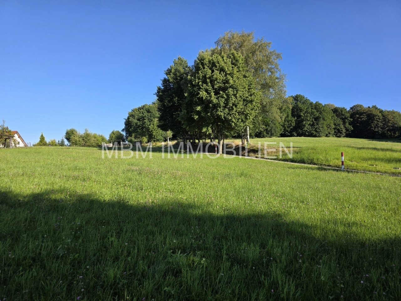 Blick vom Grundstück in die Natur Blick vom Grundstück in die Natur
